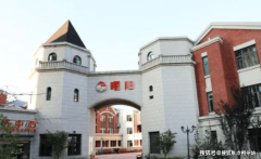 心理支撑：通过病院焦炙抑郁量表（HAD